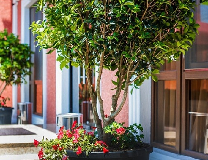 Отель AinLan / АинЛан Сухум